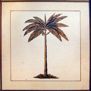 L. Palm Tree